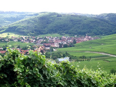 Riquewihr - Photo G.Guyot - Gite en Alsace